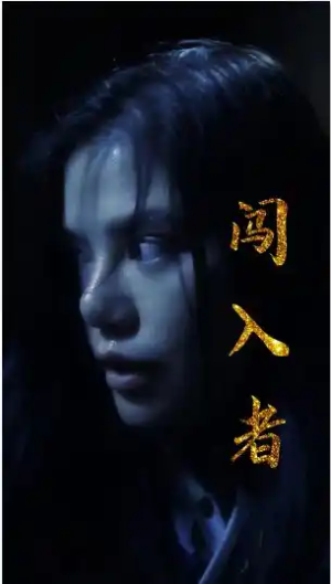 闯入者（51集）全集一网打尽