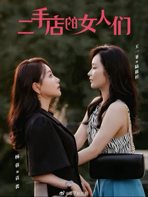 二手店的女人们（66集）红果免费看短剧