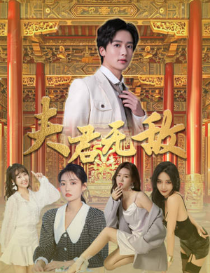 夫君无敌（100集）网盘在线观看