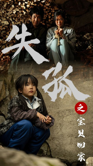 失孤之宝贝回家（71集）热门短剧免费看