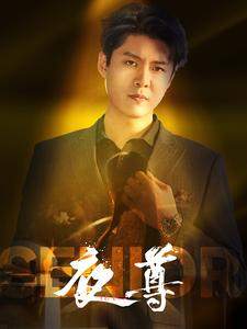 夜尊（95集）怎么看全集