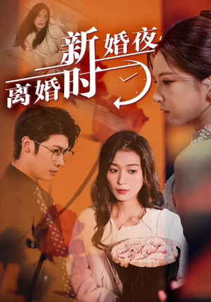 新婚夜，离婚时（35集）好看吗