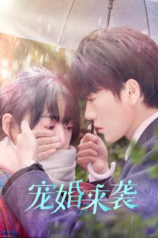 宠婚来袭（102集）短剧