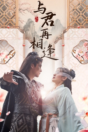 与君再相逢（70集）免费热门短剧