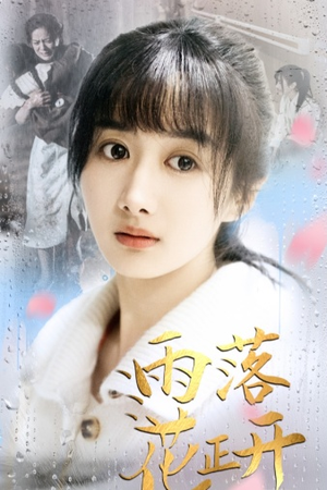 雨落花正开（62集）免费在线看全集