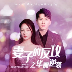 妻子的反攻之华丽逆袭（30集）一口气追完短剧