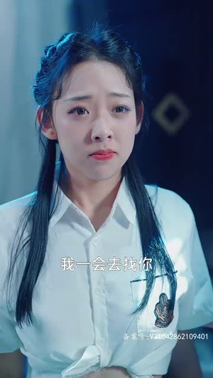 女总裁的上门女婿（104集）让你一口气看完