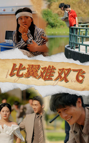 比翼难双飞（30集）短剧排行榜