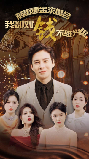 前妻重金求复合我却对钱不感兴趣（100集）在线免费观影