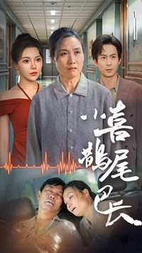 小喜鹊尾巴长（53集）高分佳作免费看