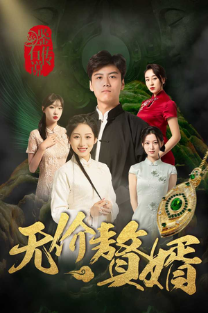 鉴宝传说之无价赘婿（100集）直接追到结尾