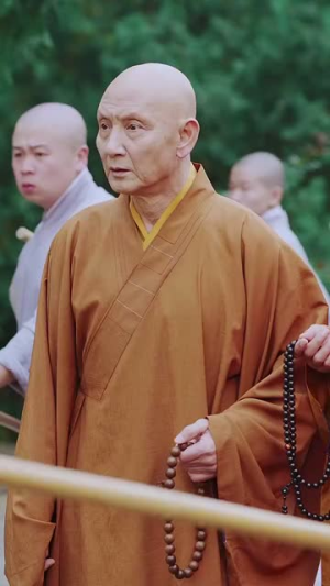 天下嵩山（29集）抢先看热门短剧