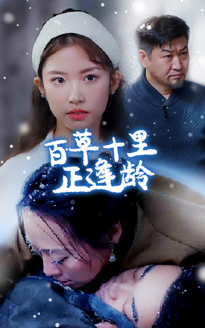 百草十里正逢龄（40集）全剧免费观看
