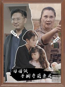 团圆饭手撕奇葩亲戚（40集）看过的人都说好