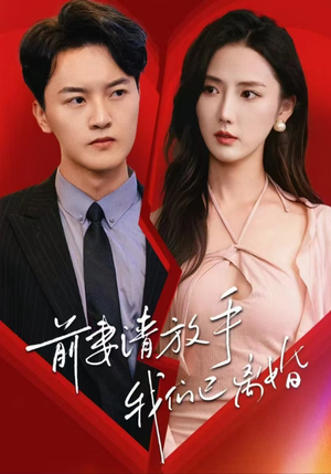 前妻请放手，我们已离婚（86集）短剧太精彩