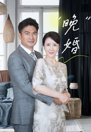 晚婚（65集）80到100集