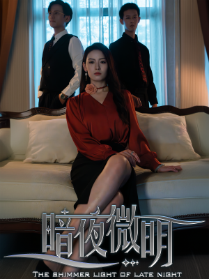 暗夜微明（70集）在线免费观影