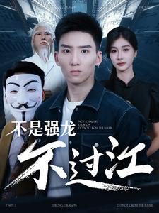 不是强龙不过江（98集）全网独播免费看