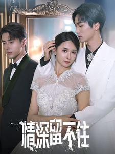 情深留不住（80集）免费热门短剧