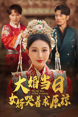 大婚当日，女婿哭着求原谅（31集）短剧中追到爽