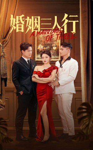 婚姻三人行（31集）流畅播放免费看