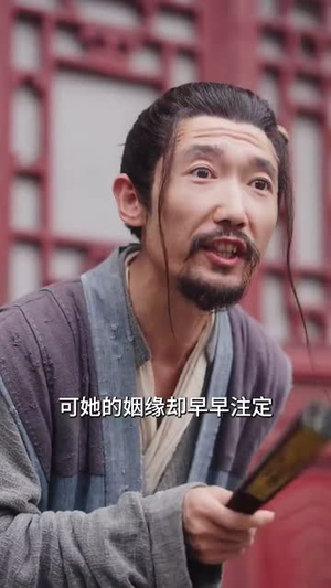 宫墙今夜有雪（84集）解说文案