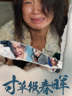 寸草报春晖（65集）推荐热门短剧