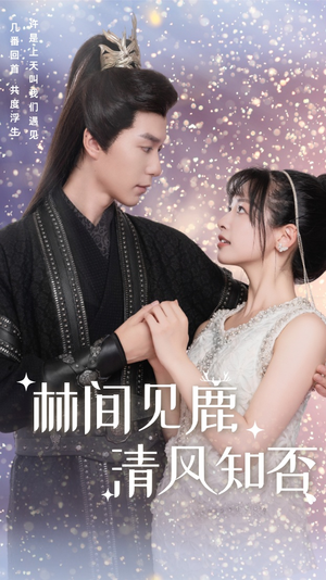 林间见鹿清风知否（62集）古装短剧热播