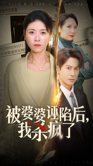 被婆婆诬陷后我杀疯了（30集）口碑之选免费看