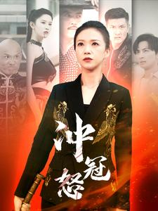冲冠怒（93集）免费短剧资源