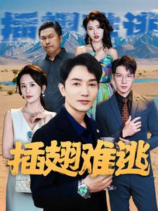 插翅难逃（43集）最新热剧免费看