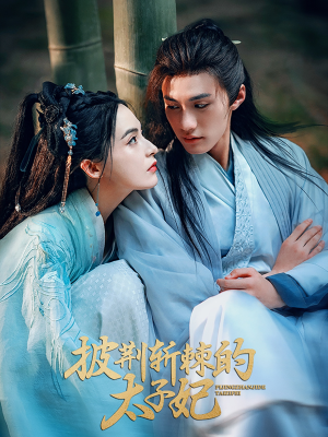 披荆斩棘的太子妃（80集）夸克网盘在线看