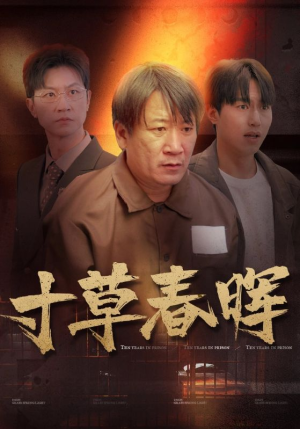 寸草春晖（31集）短剧前十排行榜