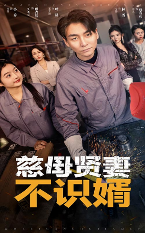 慈母贤妻不识婿（45集）短剧片段分享