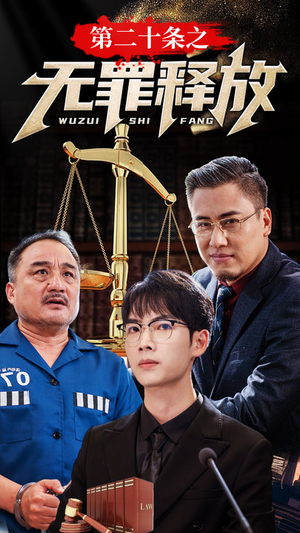 第二十条之无罪释放（76集）热门短剧推广