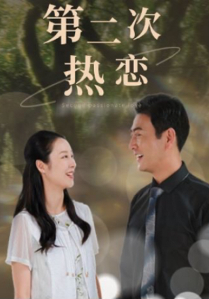 第二次热恋（48集）解说文案