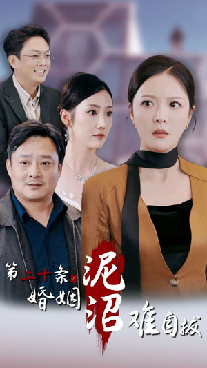 第二十条之婚姻沼泽难自拔（31集）短剧分享剧集