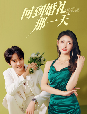 回到婚礼那一天（88集）免费看短剧全集