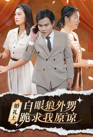 婚礼上白眼狼外甥跪求我原谅（35集）短剧免费分享