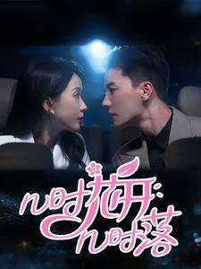 几时花开几时落（66集）简直不要太好看