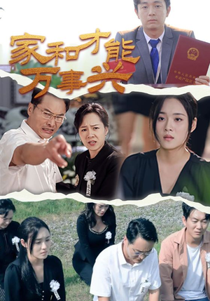家和才能万事兴（30集）红果短剧看全集