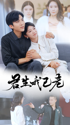 君生我已老（61集）短剧追不停