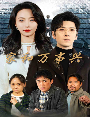 家和万事兴（30集）全集免费