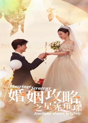 婚姻攻略之星光璀璨（32集）免费在线看