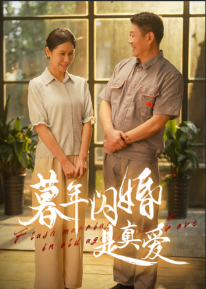 暮年闪婚是真爱（36集）真的好看吗
