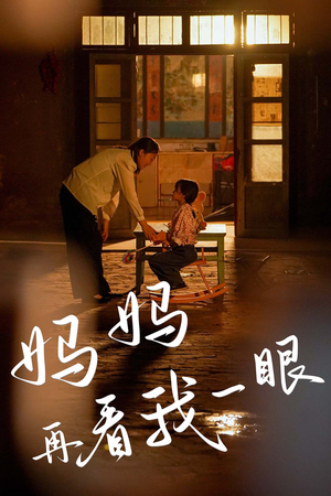 妈妈再看我一眼（32集）解说文案