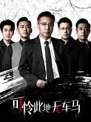 可怜此地无车马（30集）热门短剧追到爽