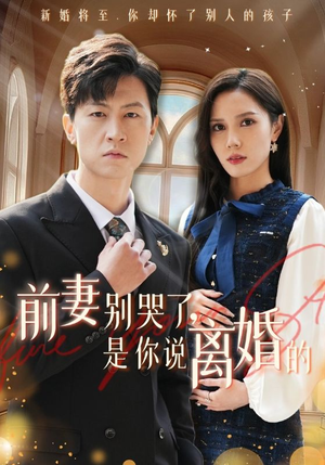 前妻别哭了，是你说离婚的（42集）免费看短剧全集