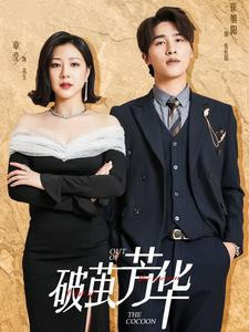 破茧芳华（80集）爆火短剧推荐