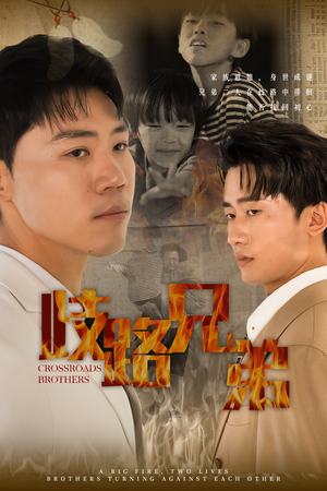 歧路兄弟（63集）集免费看短剧